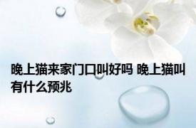 晚上猫来家门口叫好吗 晚上猫叫有什么预兆