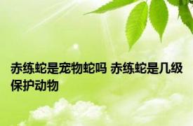 赤练蛇是宠物蛇吗 赤练蛇是几级保护动物