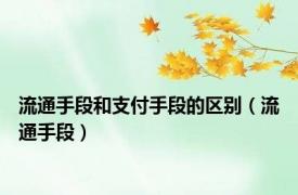 流通手段和支付手段的区别（流通手段）
