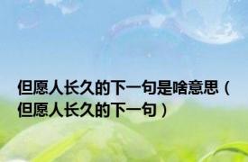 但愿人长久的下一句是啥意思（但愿人长久的下一句）