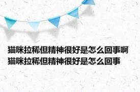 猫咪拉稀但精神很好是怎么回事啊 猫咪拉稀但精神很好是怎么回事