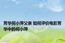 芳华何小萍父亲 如何评价电影芳华中的何小萍