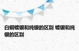 白铜镀银和纯银的区别 镀银和纯银的区别