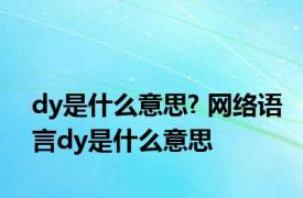 dy是什么意思? 网络语言dy是什么意思