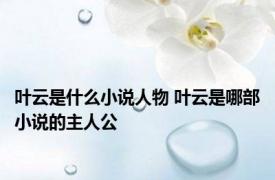 叶云是什么小说人物 叶云是哪部小说的主人公