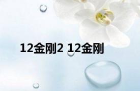 12金刚2 12金刚 