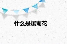 什么是爆菊花