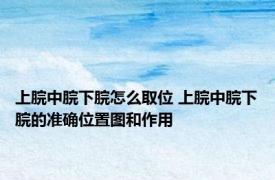 上脘中脘下脘怎么取位 上脘中脘下脘的准确位置图和作用