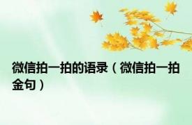 微信拍一拍的语录（微信拍一拍金句）