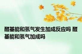 醛基能和氢气发生加成反应吗 醛基能和氢气加成吗