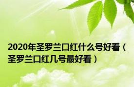 2020年圣罗兰口红什么号好看（圣罗兰口红几号最好看）