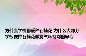 为什么学校都爱种石楠花 为什么大部分学校要种石楠花感觉气味特别的恶心