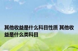 其他收益是什么科目性质 其他收益是什么类科目