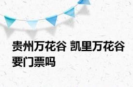 贵州万花谷 凯里万花谷要门票吗