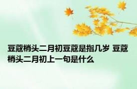 豆蔻梢头二月初豆蔻是指几岁 豆蔻梢头二月初上一句是什么