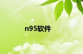 n95软件