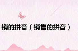 销的拼音（销售的拼音）