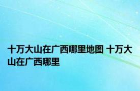 十万大山在广西哪里地图 十万大山在广西哪里