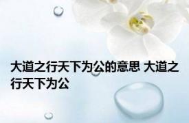 大道之行天下为公的意思 大道之行天下为公 