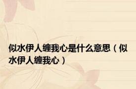 似水伊人缠我心是什么意思（似水伊人缠我心）