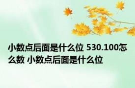 小数点后面是什么位 530.100怎么数 小数点后面是什么位
