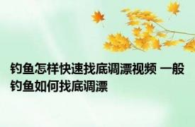钓鱼怎样快速找底调漂视频 一般钓鱼如何找底调漂