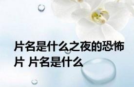 片名是什么之夜的恐怖片 片名是什么
