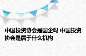 中国投资协会是国企吗 中国投资协会是属于什么机构