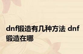 dnf锻造有几种方法 dnf锻造在哪