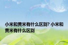 小米和黄米有什么区别? 小米和黄米有什么区别
