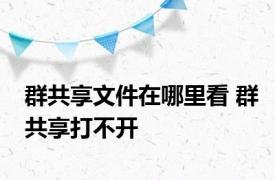 群共享文件在哪里看 群共享打不开 