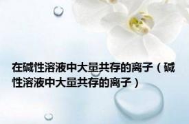 在碱性溶液中大量共存的离子（碱性溶液中大量共存的离子）
