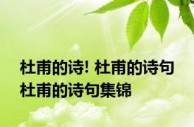 杜甫的诗! 杜甫的诗句 杜甫的诗句集锦