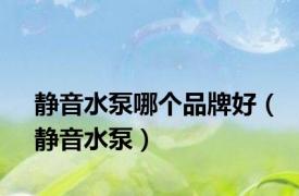静音水泵哪个品牌好（静音水泵）
