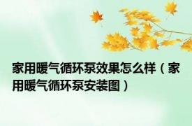 家用暖气循环泵效果怎么样（家用暖气循环泵安装图）