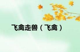 飞禽走兽（飞禽）