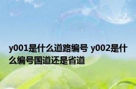 y001是什么道路编号 y002是什么编号国道还是省道
