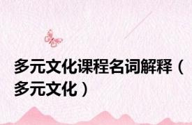 多元文化课程名词解释（多元文化）