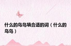 什么的鸟岛填合适的词（什么的鸟岛）