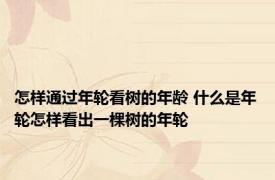 怎样通过年轮看树的年龄 什么是年轮怎样看出一棵树的年轮