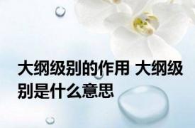 大纲级别的作用 大纲级别是什么意思