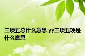 三项五总什么意思 yy三项五项是什么意思