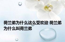 荷兰弟为什么这么受欢迎 荷兰弟为什么叫荷兰弟