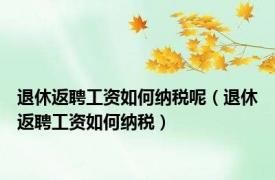 退休返聘工资如何纳税呢（退休返聘工资如何纳税）