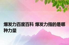 爆发力百度百科 爆发力指的是哪种力量