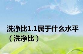 洗净比1.1属于什么水平（洗净比）