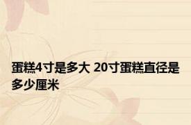蛋糕4寸是多大 20寸蛋糕直径是多少厘米