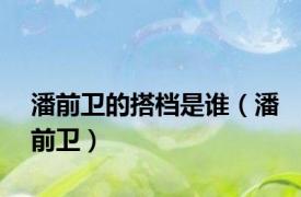 潘前卫的搭档是谁（潘前卫）