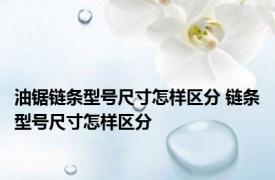 油锯链条型号尺寸怎样区分 链条型号尺寸怎样区分