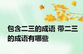 包含二三的成语 带二三的成语有哪些